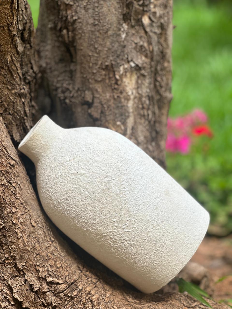 Vase | Nature